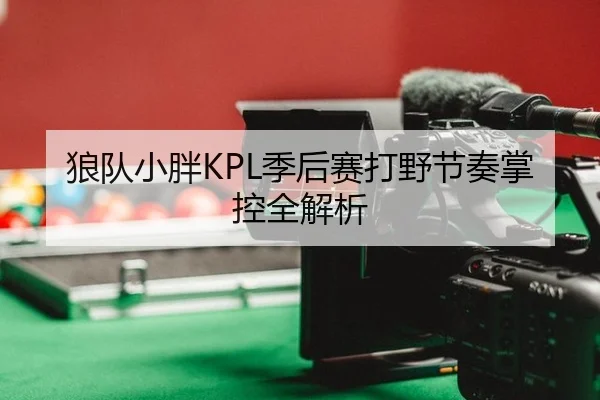 lang-dui-xiao-pang-ji-hou-sai-da-ye-jie-zou-zhang-kong-quan-jie-xi-3-574.jpg