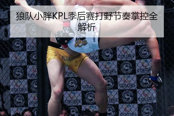 狼队小胖KPL季后赛打野节奏掌控全解析